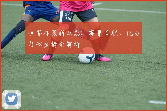 世界杯最新动态:赛事日程、比分与积分榜全解析