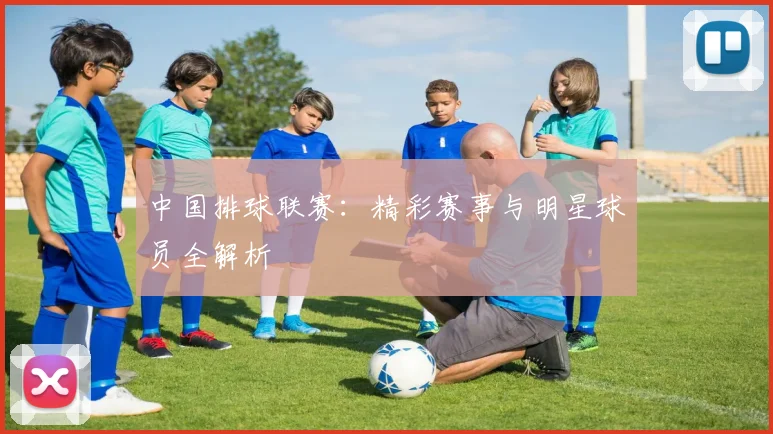 中国排球联赛:精彩赛事与明星球员全解析