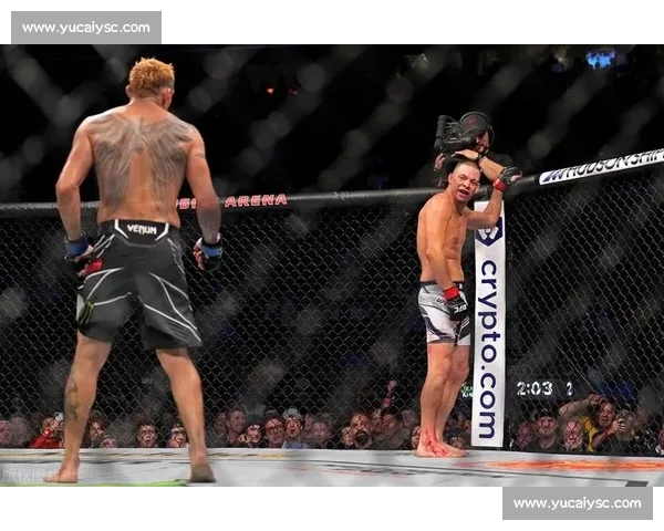 UFC 裁判与规则详解:如何判定胜负? UFC 裁判与规则详解:如何判定胜负?